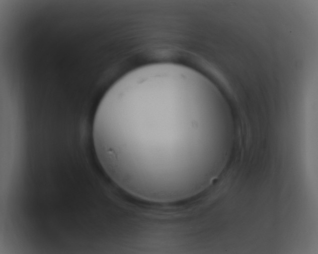 X0000101430407200807071010