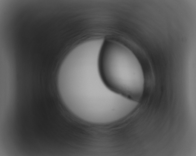 X0000101430408200807071010