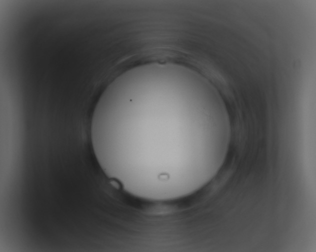 X0000101430413200807071009