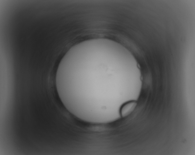 X0000101430414200807071009