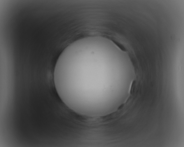 X0000101430415200807071009