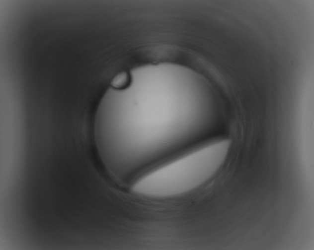 X0000101430416200807071009