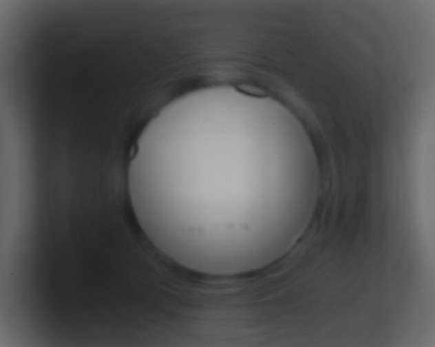X0000101430417200807071009