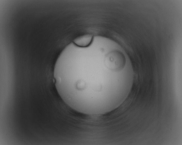 X0000101430418200807071009