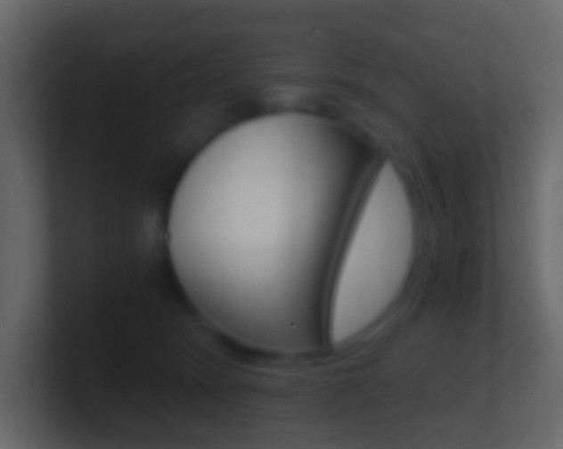 X0000101430420200807071009