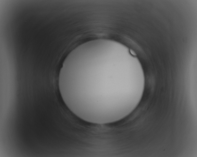 X0000101430421200807071009