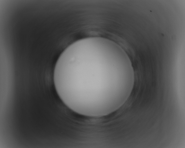 X0000101430422200807071009