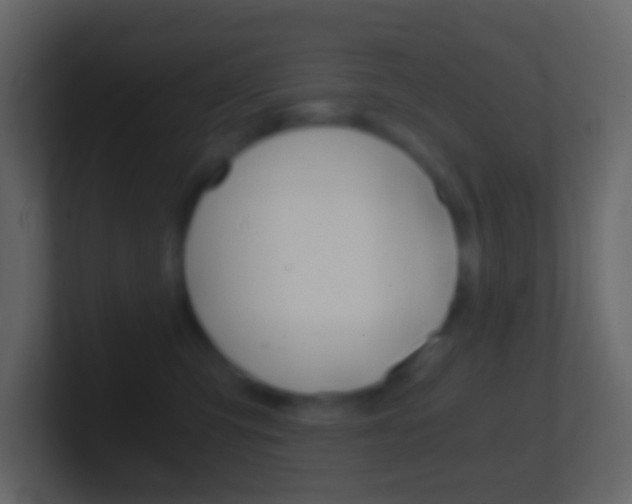 X0000101430423200807071009