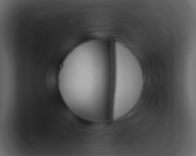 X0000101430424200807071009