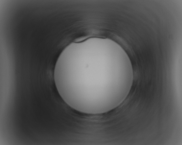 X0000101430426200807071009