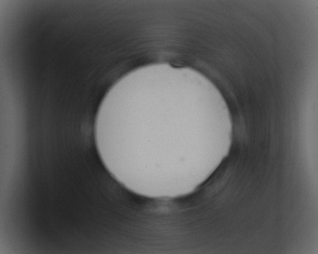 X0000101430427200807071009