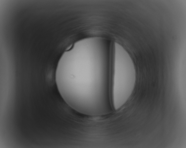 X0000101430428200807071009