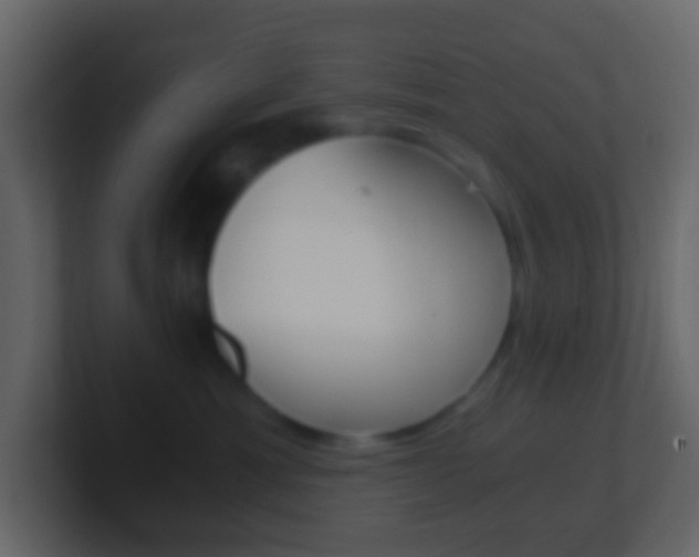 X0000101430429200807071009