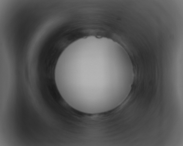 X0000101430430200807071009