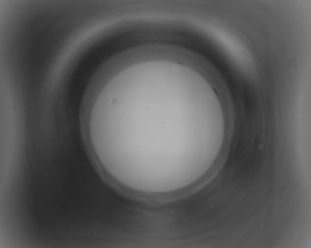 X0000101430431200807071009