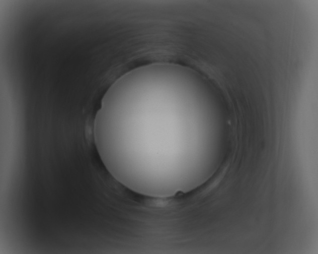 X0000101430432200807071009