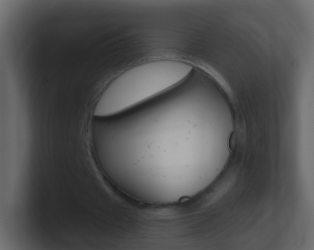 X0000101430433200807071009