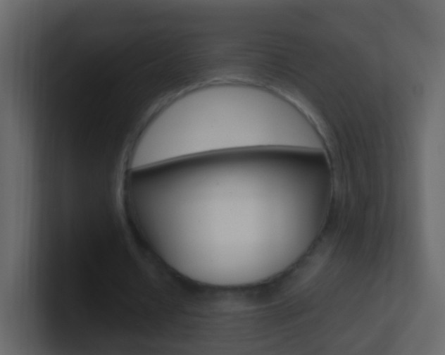 X0000101430434200807071009