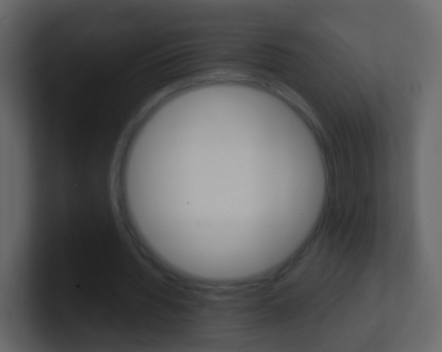 X0000101430436200807071009