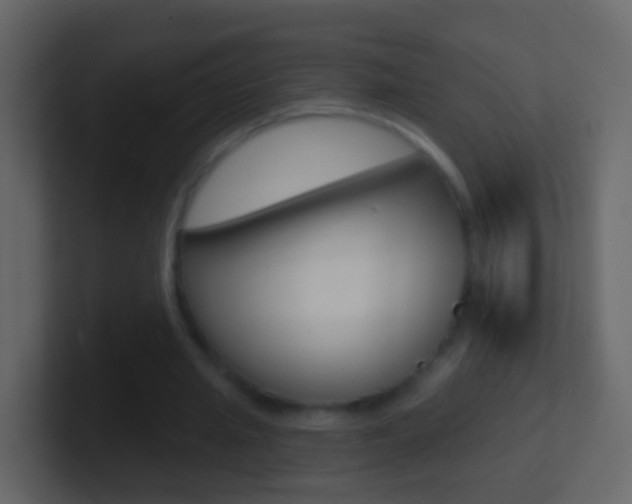 X0000101430437200807071009