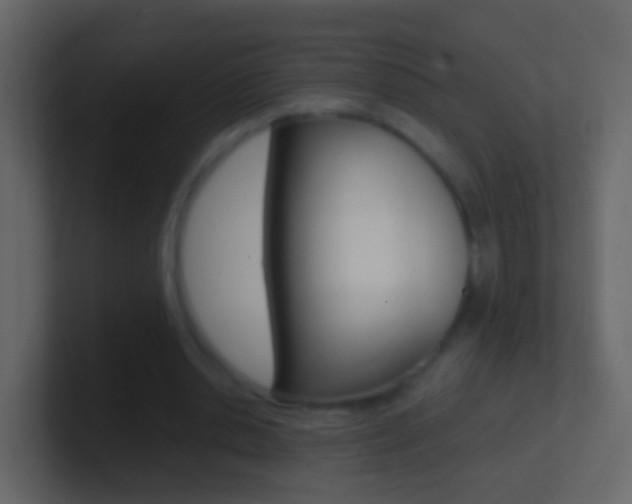 X0000101430438200807071009