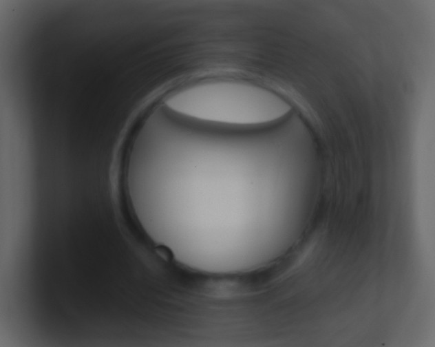 X0000101430440200807071009