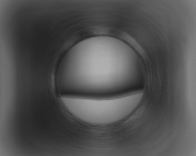 X0000101430441200807071009