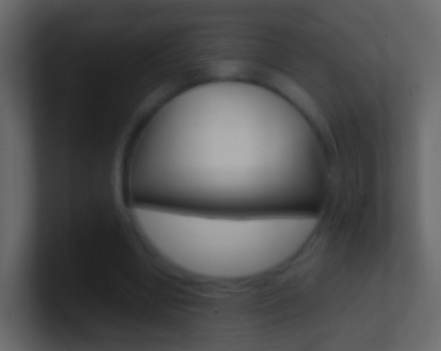 X0000101430442200807071009