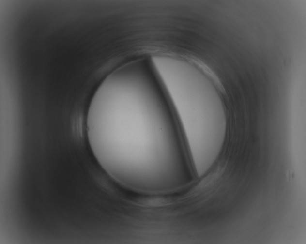 X0000101430445200807071009