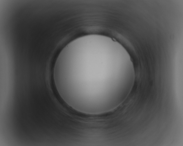 X0000101430448200807071009