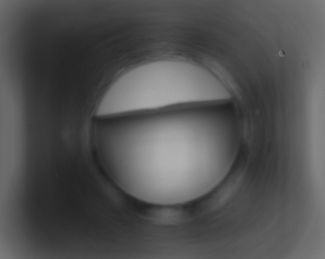 X0000101430449200807071009