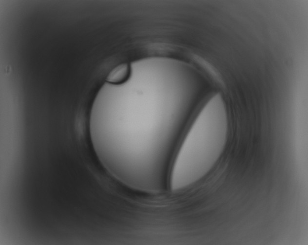 X0000101430451200807071009