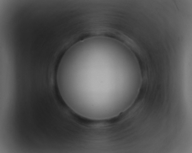 X0000101430452200807071009
