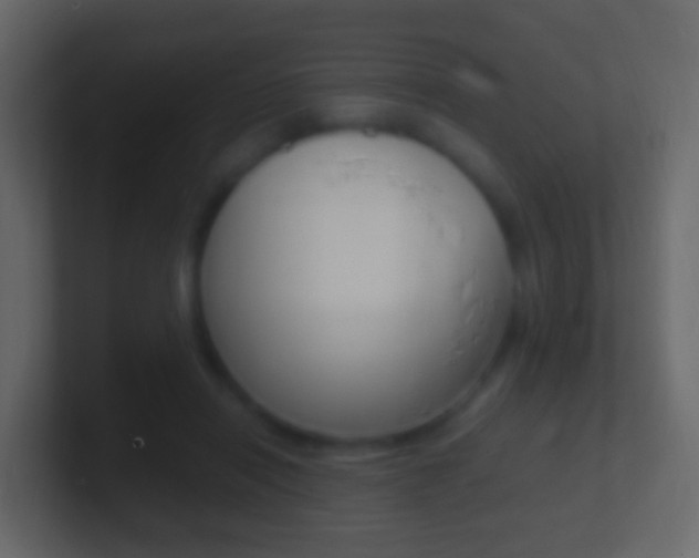 X0000101430454200807071009