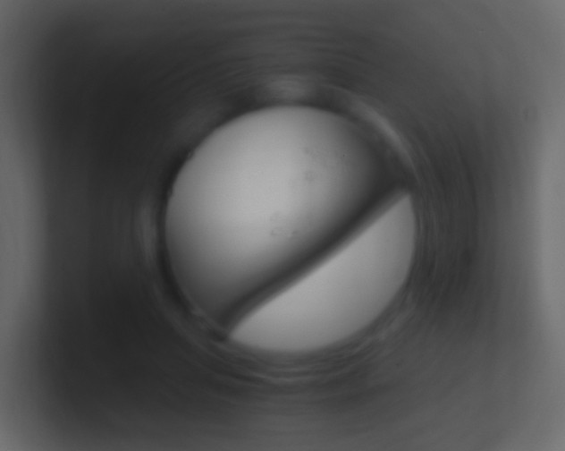X0000101430455200807071009