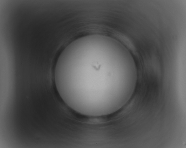 X0000101430457200807071009