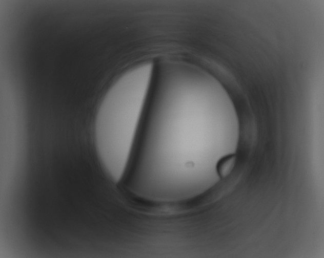 X0000101430461200807071009