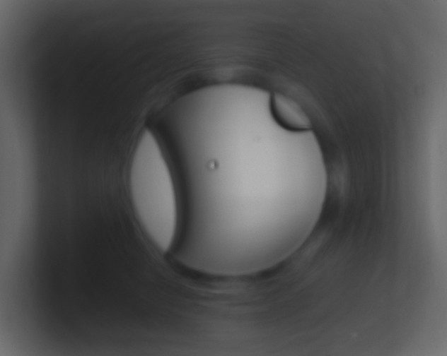 X0000101430470200807071009