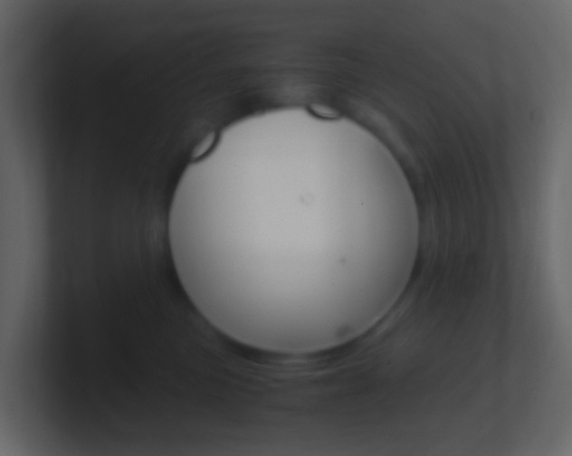X0000101430473200807071009