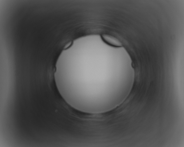 X0000101430474200807071009