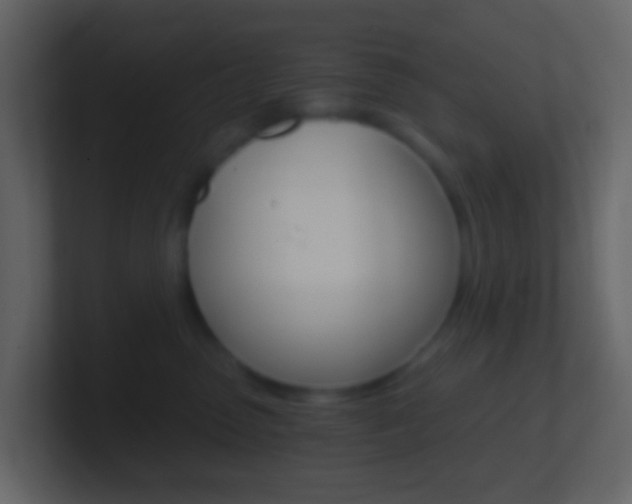 X0000101430475200807071009