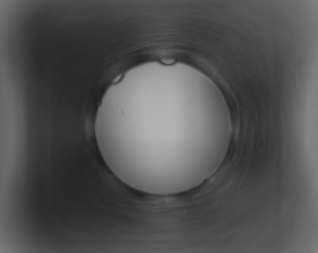 X0000101430476200807071009