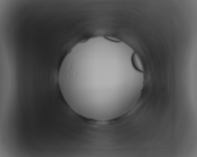 X0000101430478200807071009