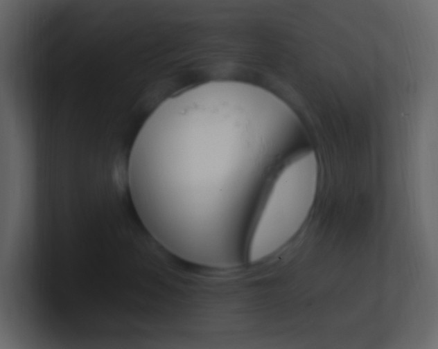 X0000101430479200807071009