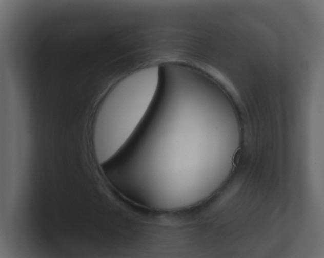 X0000101430481200807071008