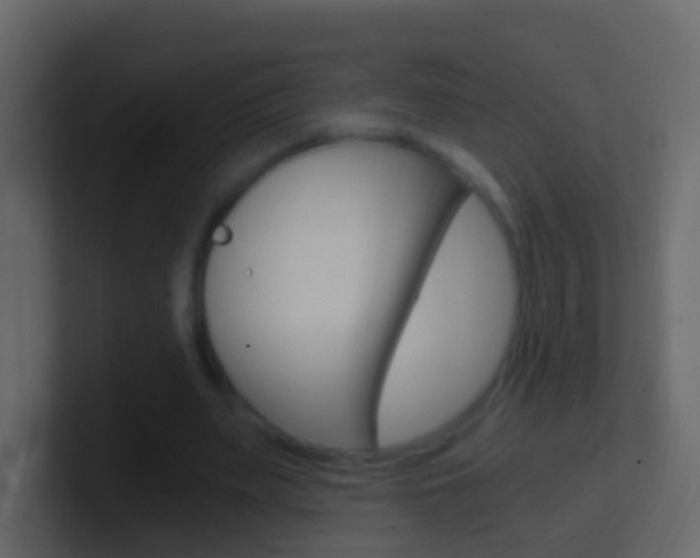 X0000101430487200807071008