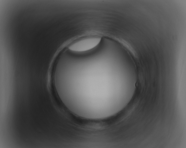 X0000101430488200807071008