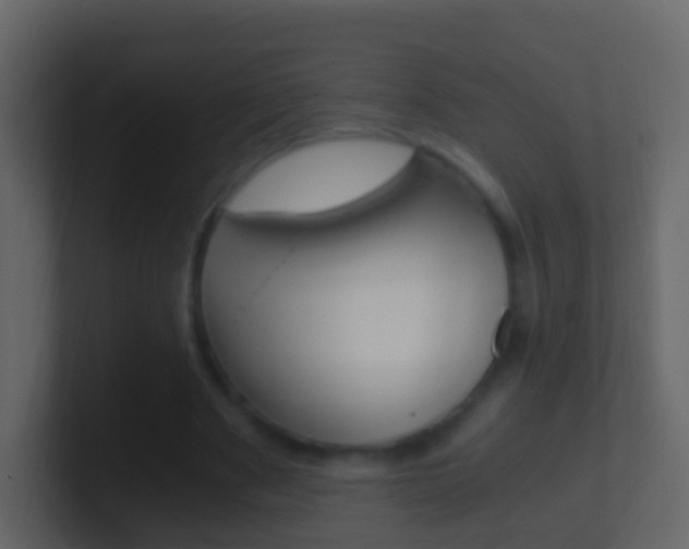 X0000101430489200807071008