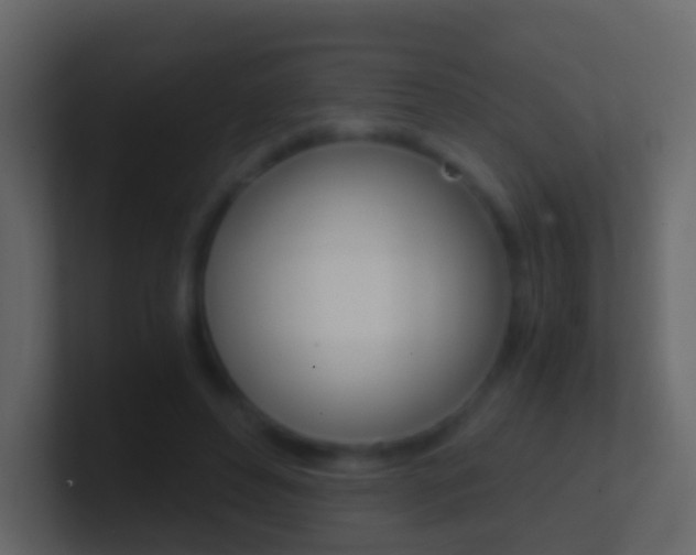X0000101430496200807071008