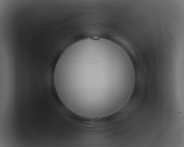 X0000101430498200807071008